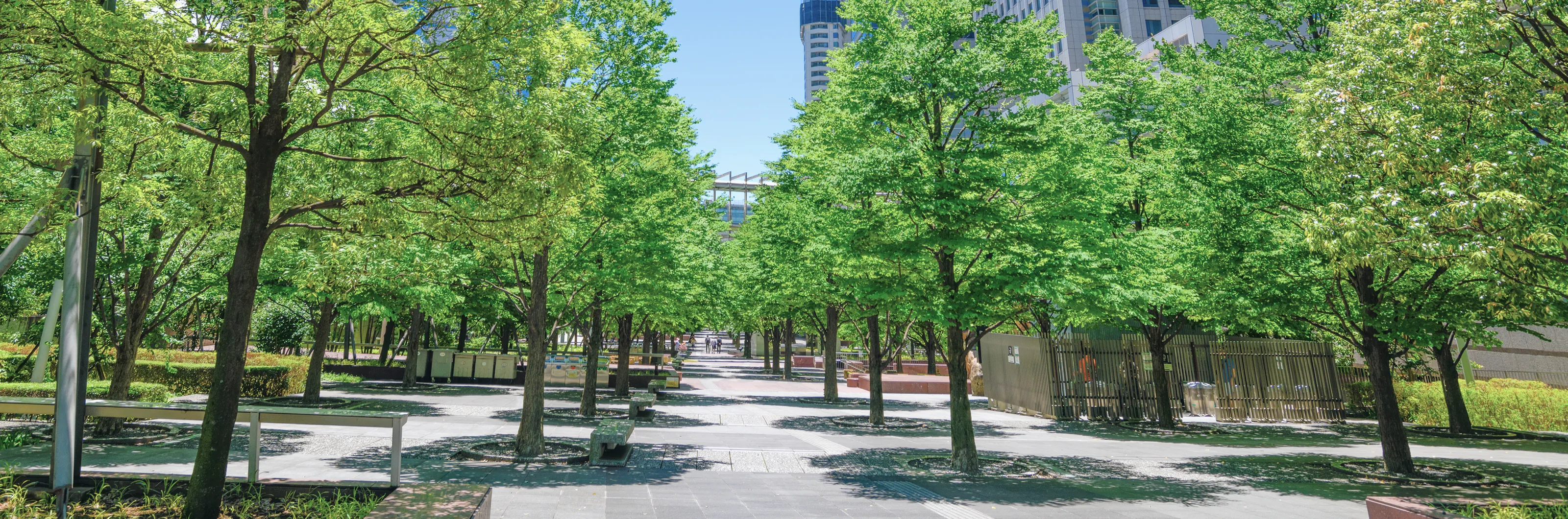 採用エントリー