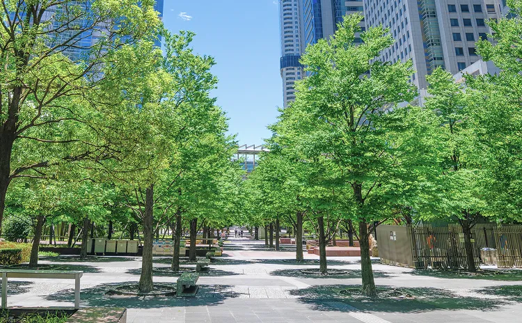 採用エントリー